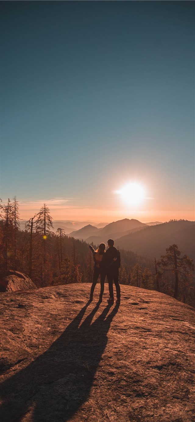 In Awe of Sequoia iPhone X wallpaper 