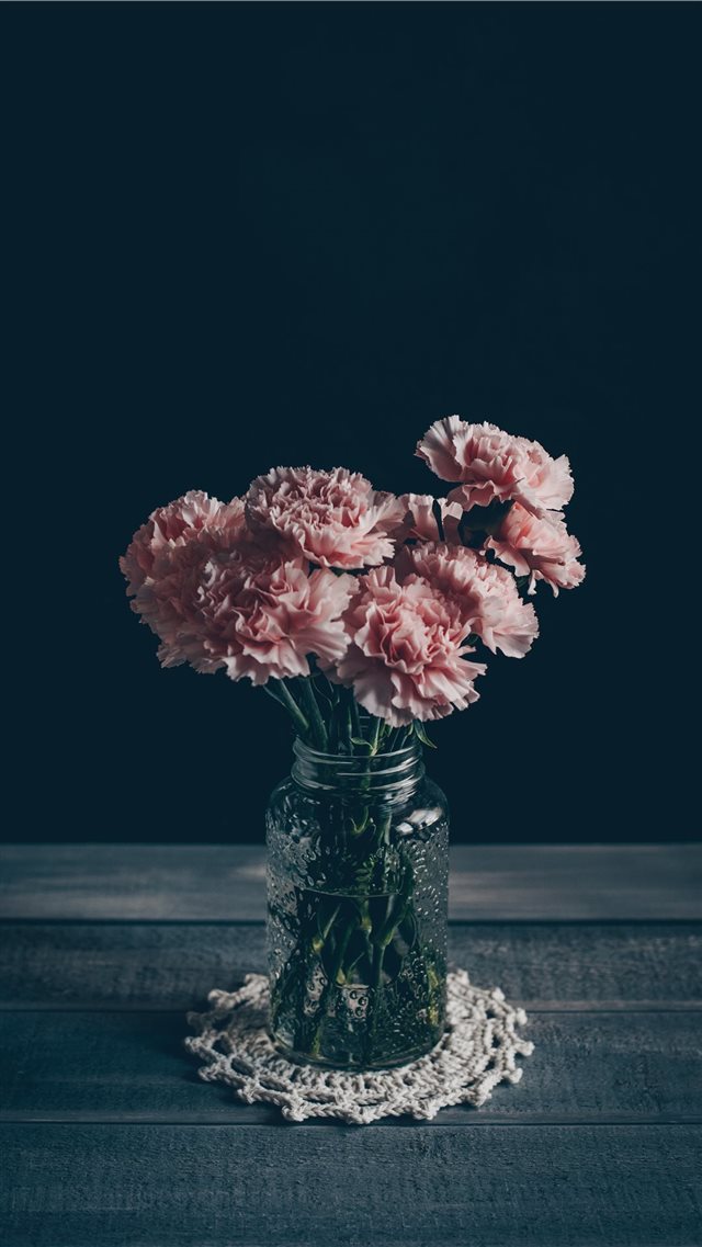 Pink Carnations iPhone 8 wallpaper 