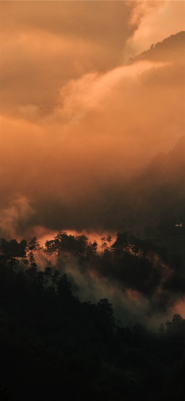 A sunset to never forget iPhone X wallpaper 