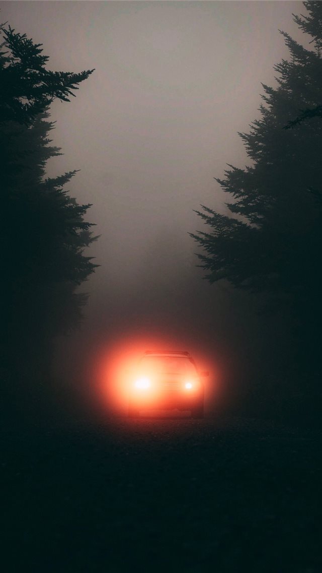 Brighter on the Left iPhone 8 wallpaper 