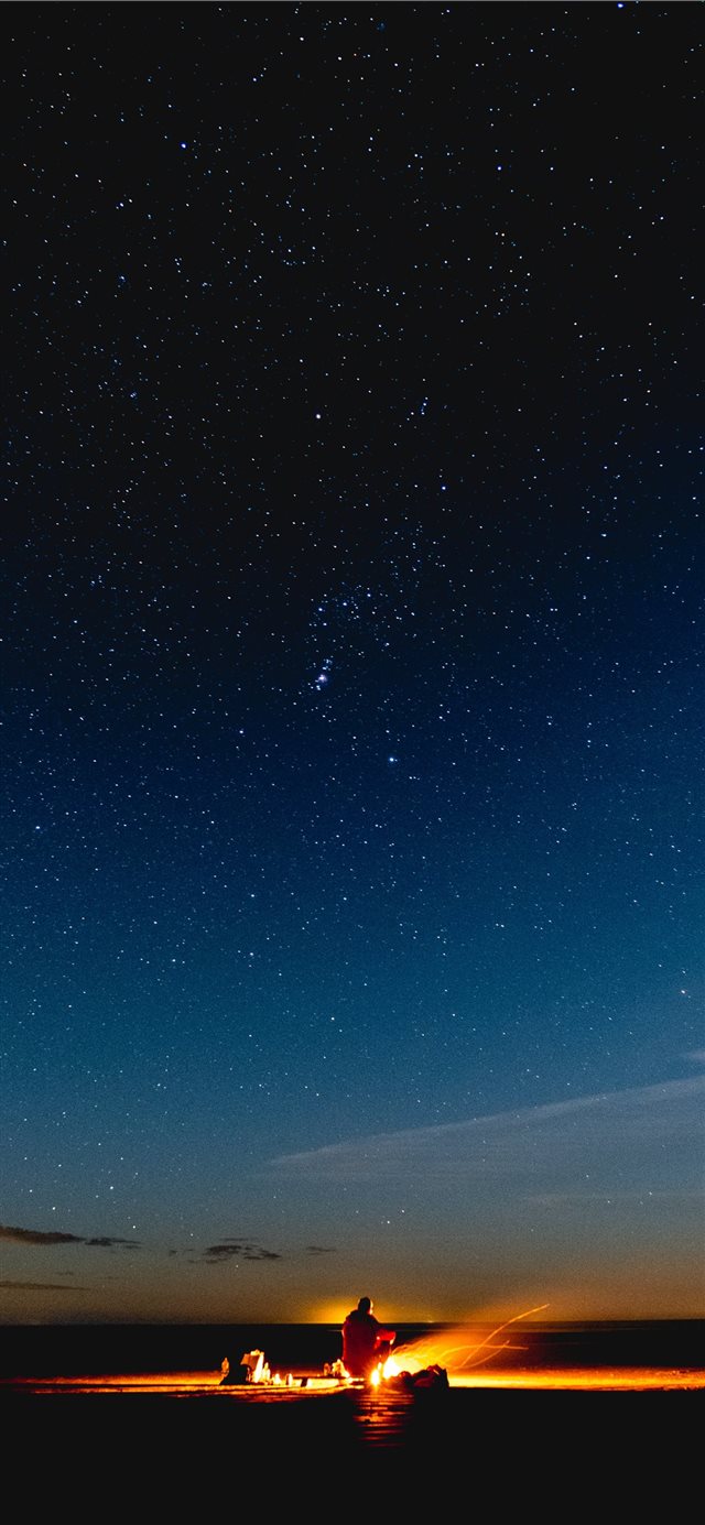 Campfire on the Beach iPhone X wallpaper 