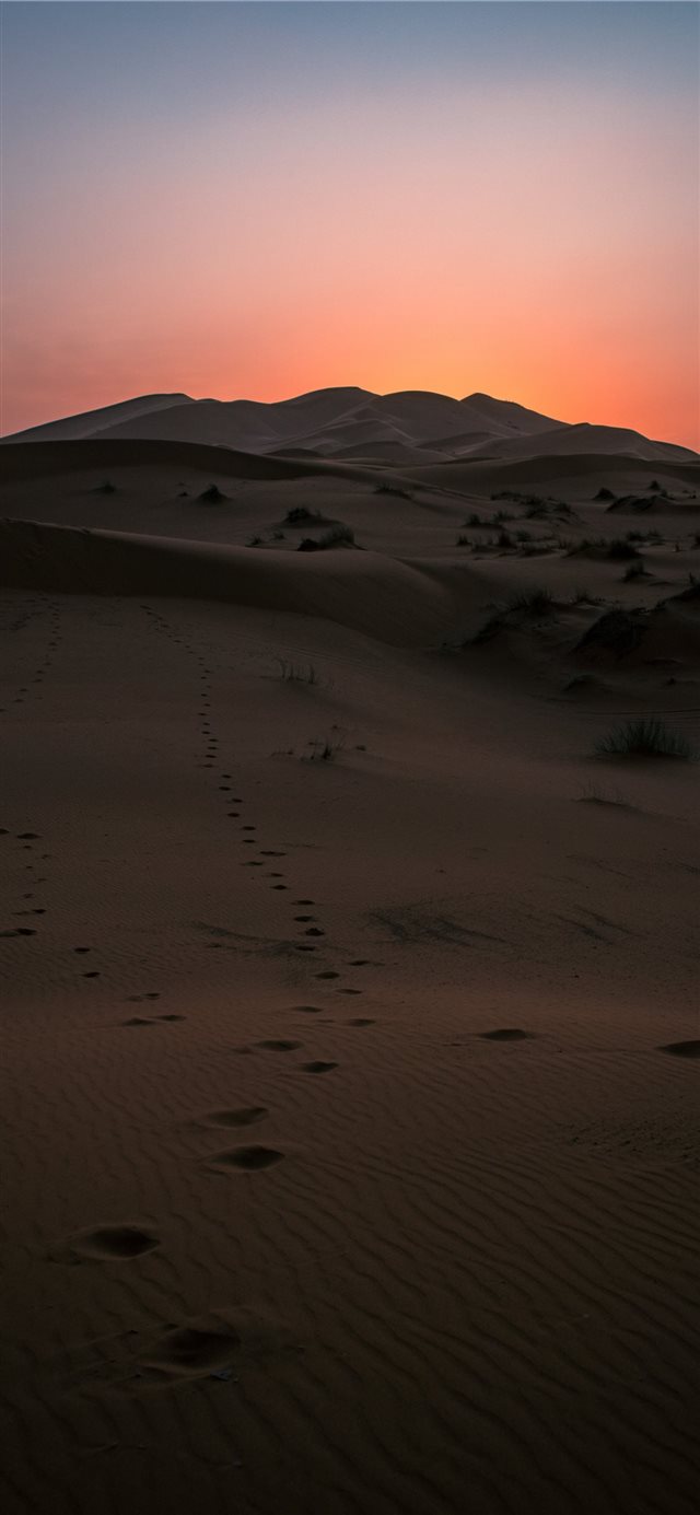 Desert Sunset iPhone 11 wallpaper 