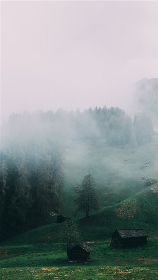 Greeny foggy iPhone 8 wallpaper 