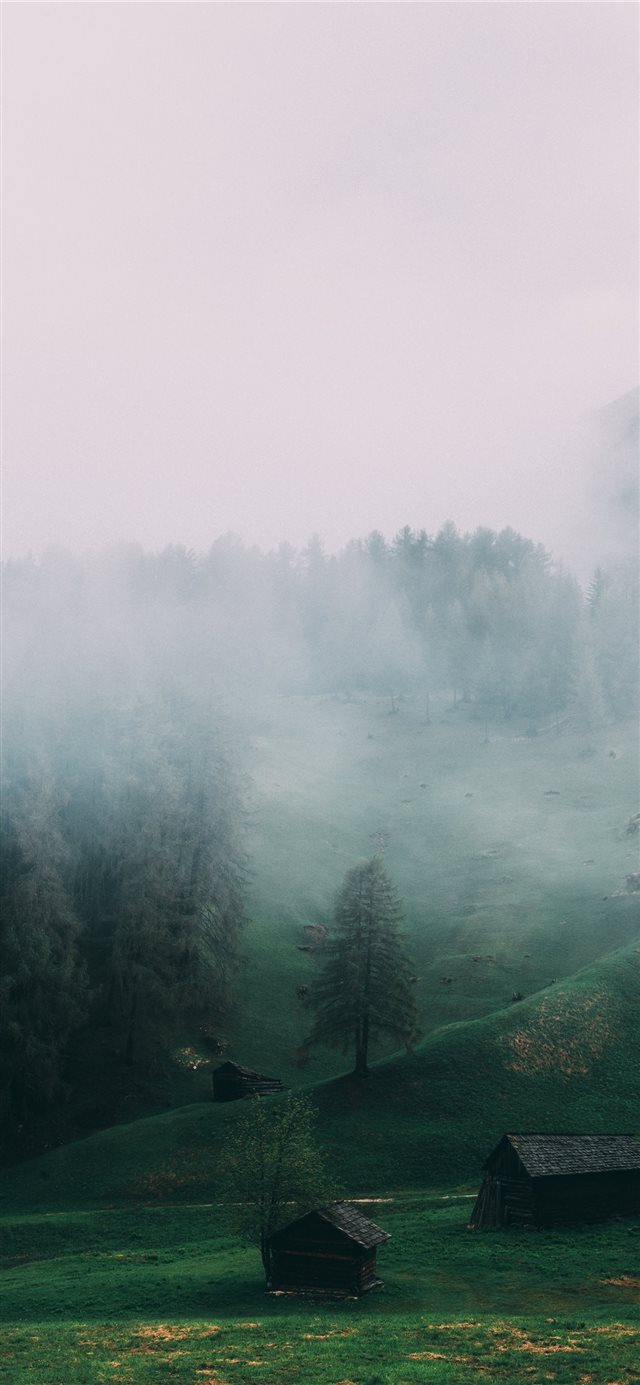 Greeny foggy iPhone X wallpaper 