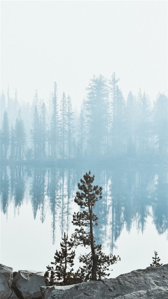 Lady Lake iPhone 8 wallpaper 