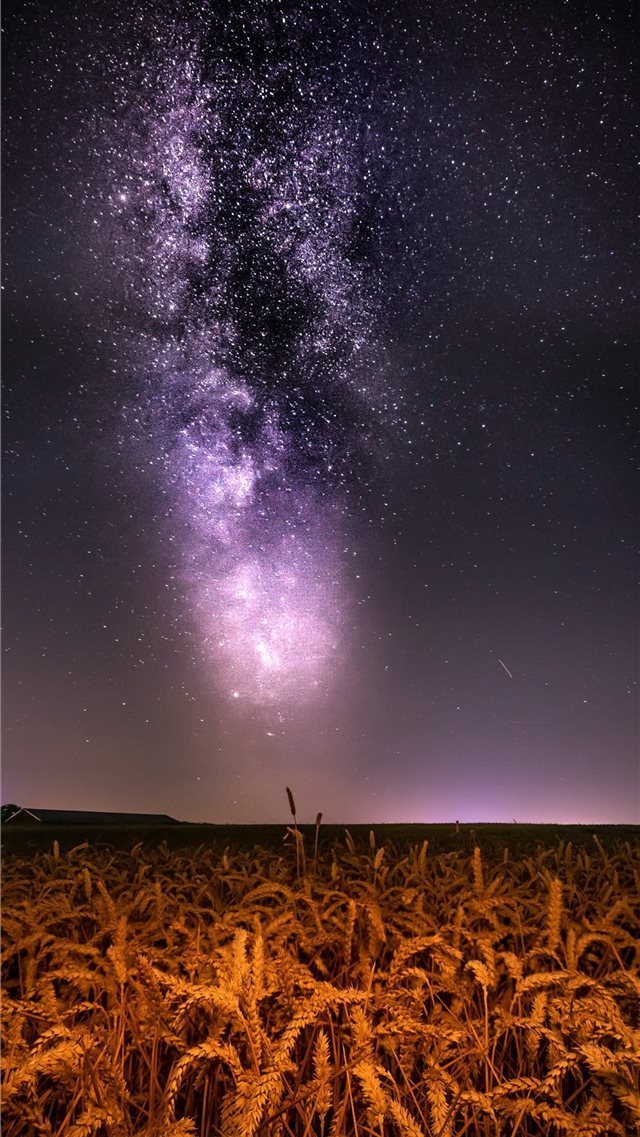 Milkyway over wheat field iPhone 8 wallpaper 