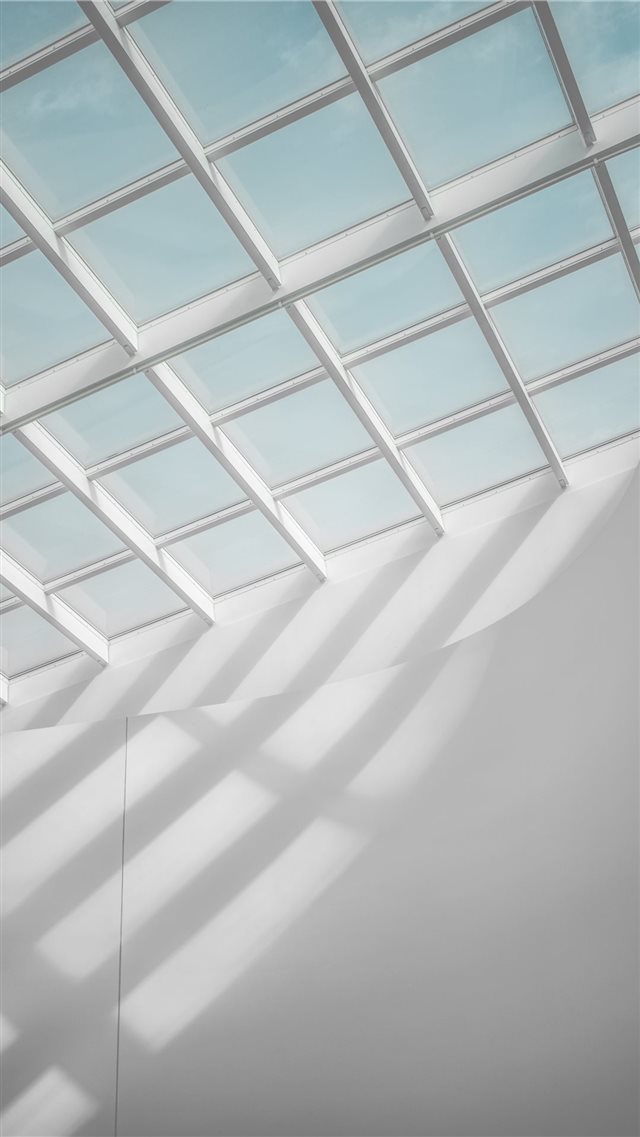 Between the Line and Curve iPhone 8 wallpaper 