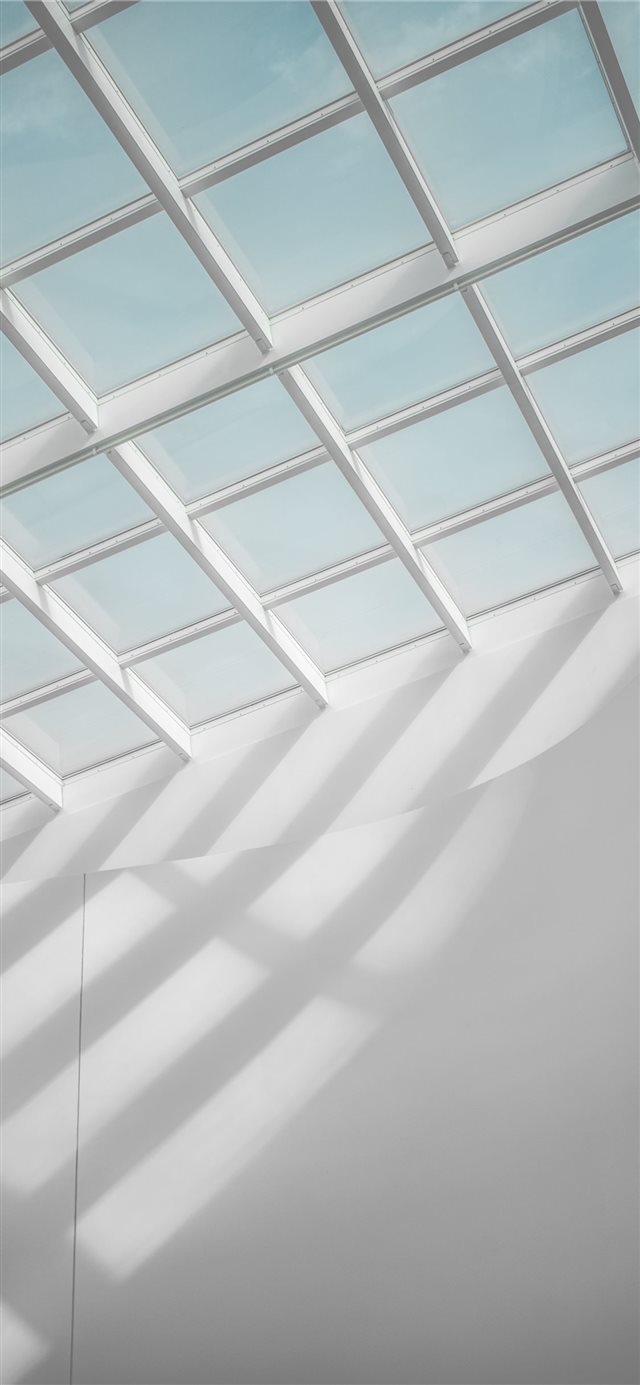 Between the Line and Curve iPhone X wallpaper 