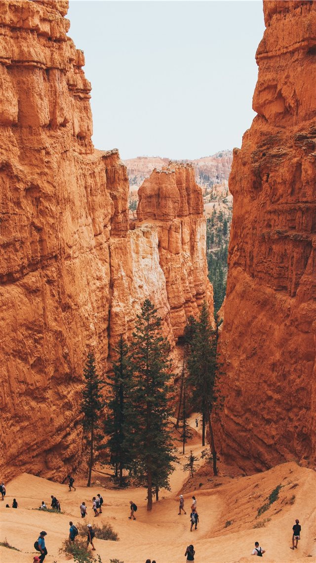 Bryce Canyon  United States iPhone 8 wallpaper 