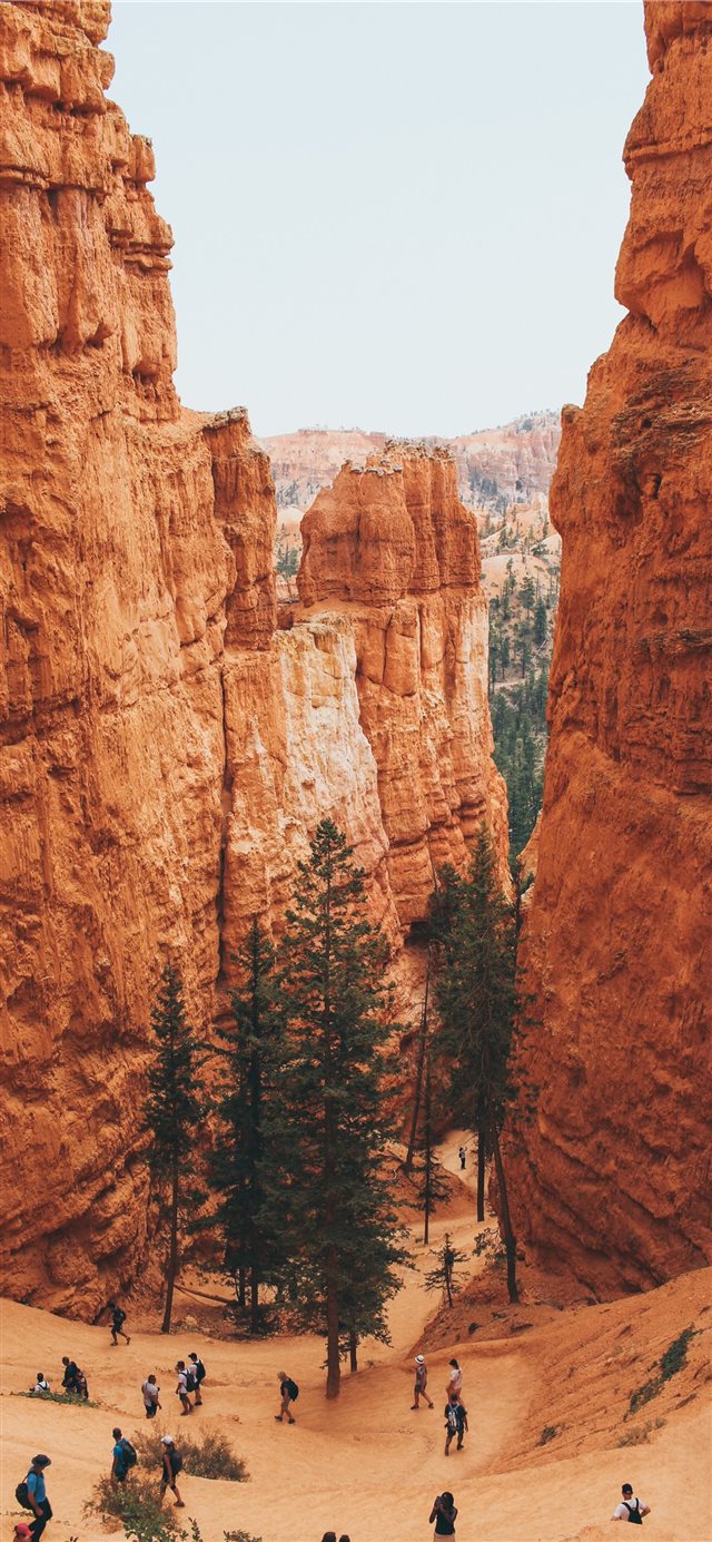 Bryce Canyon  United States iPhone X wallpaper 