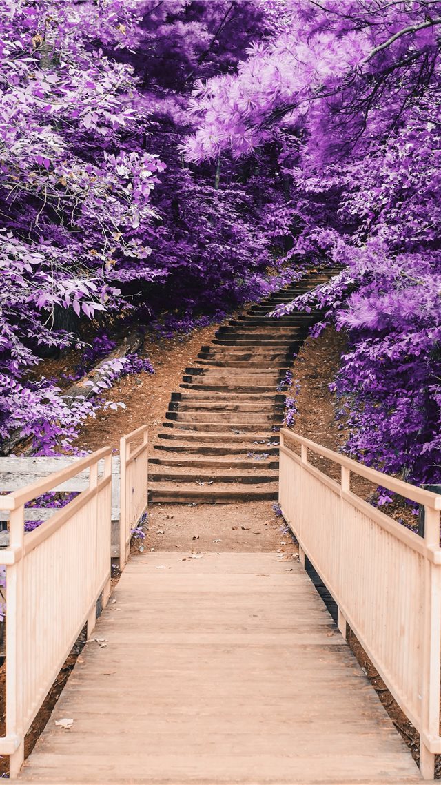 Discovering Purple iPhone 8 wallpaper 