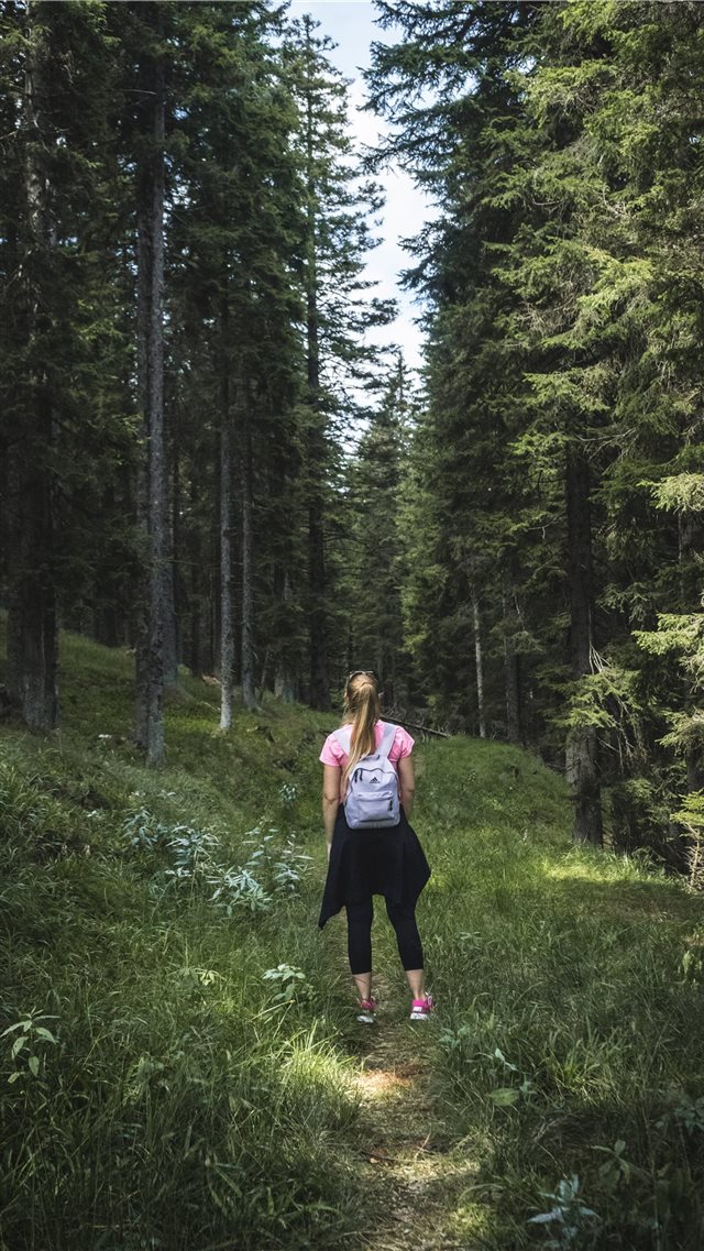 Hiking trough the woods iPhone 8 wallpaper 