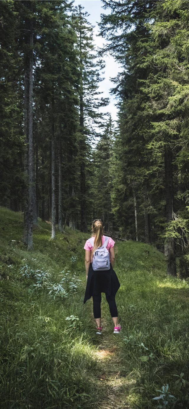 Hiking trough the woods iPhone X wallpaper 