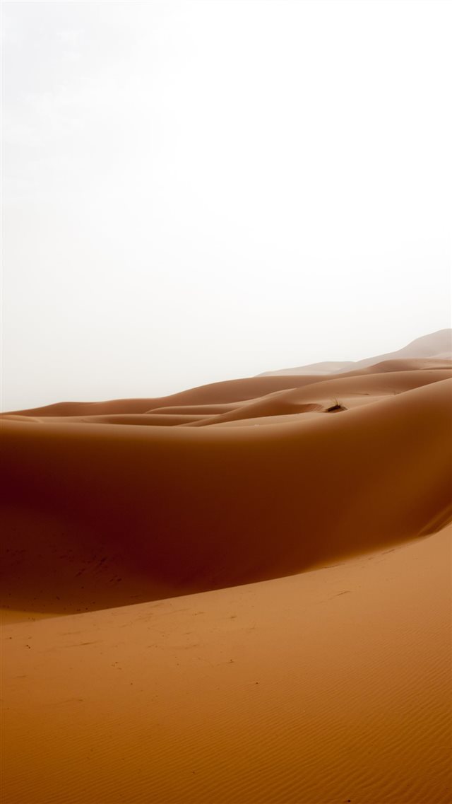 Just like bodies  sand rests peacefully  iPhone 8 wallpaper 