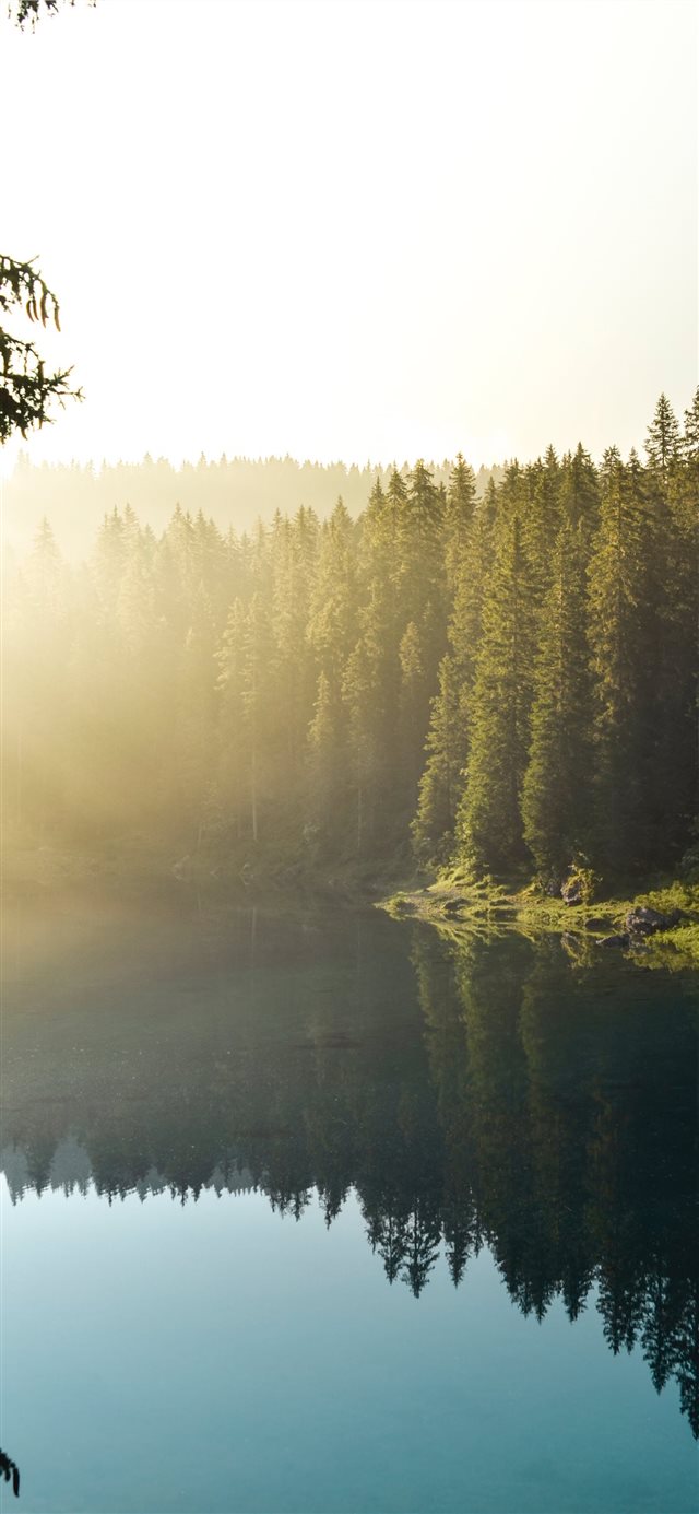 Leave the morning light on iPhone X wallpaper 
