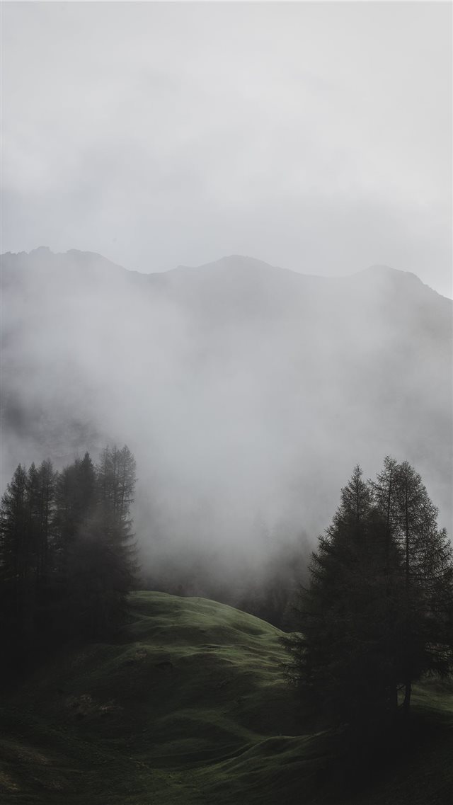 Light over the meadow iPhone 8 wallpaper 