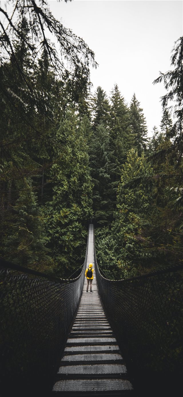 Lynn Valley Park  North Vancouver  Canada iPhone X wallpaper 