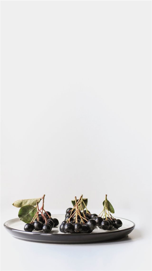 Minimal shot of aronia berries on white iPhone 8 wallpaper 