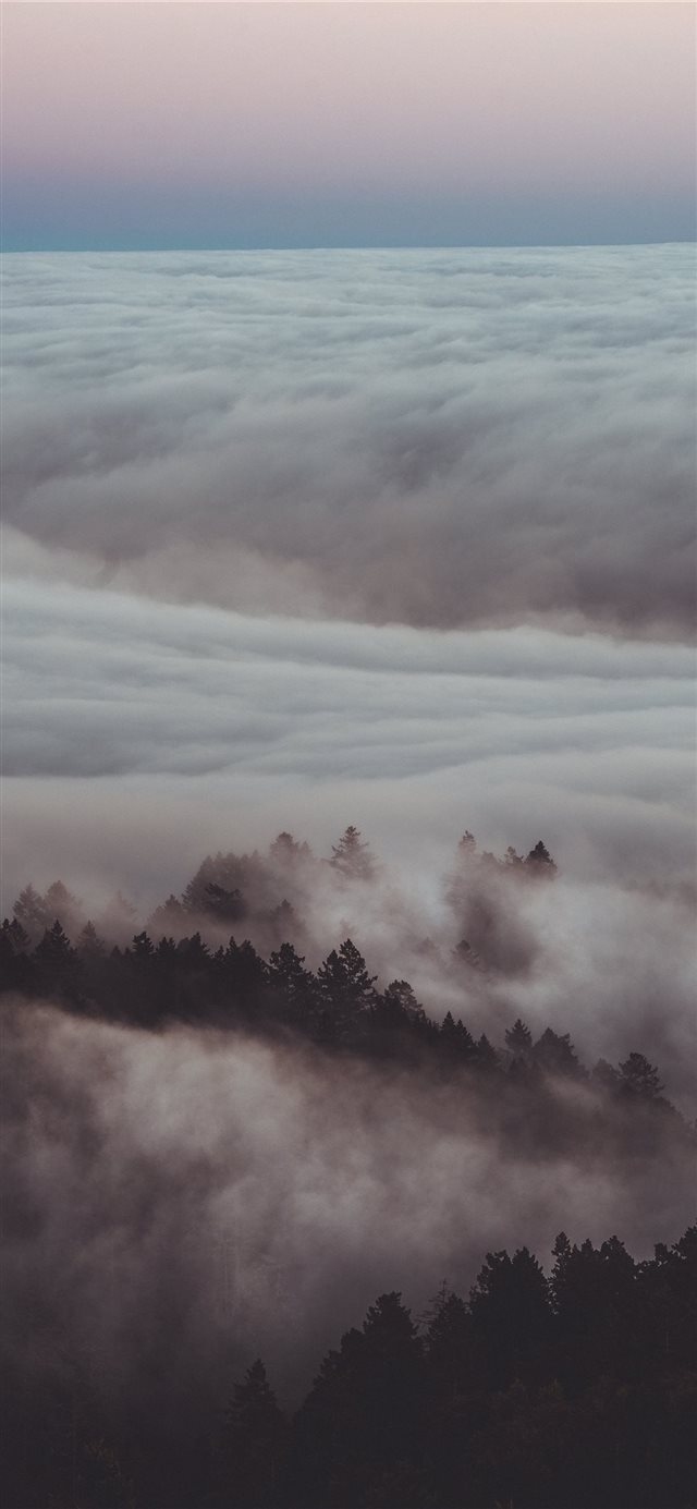 Mystery iPhone X wallpaper 