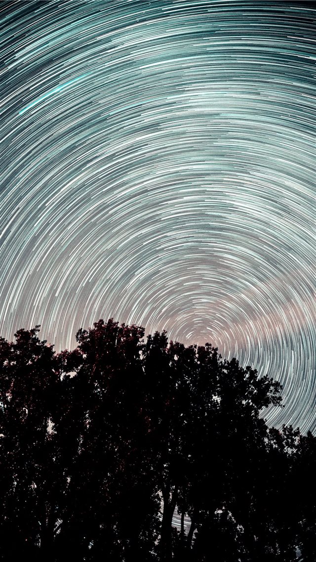 Startrail over trees iPhone 8 wallpaper 