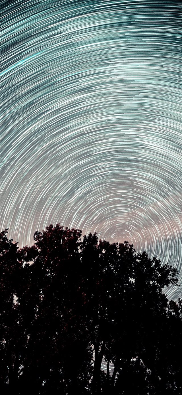 Startrail over trees iPhone X wallpaper 