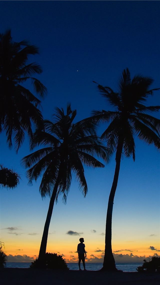 Sunset at  Gnaviyani Atoll iPhone 8 wallpaper 