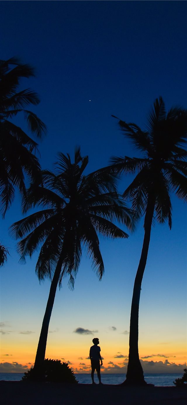 Sunset at  Gnaviyani Atoll iPhone X wallpaper 