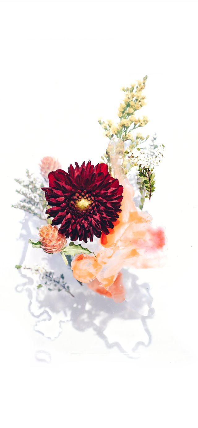 Florals arranged on glass iPhone X wallpaper 