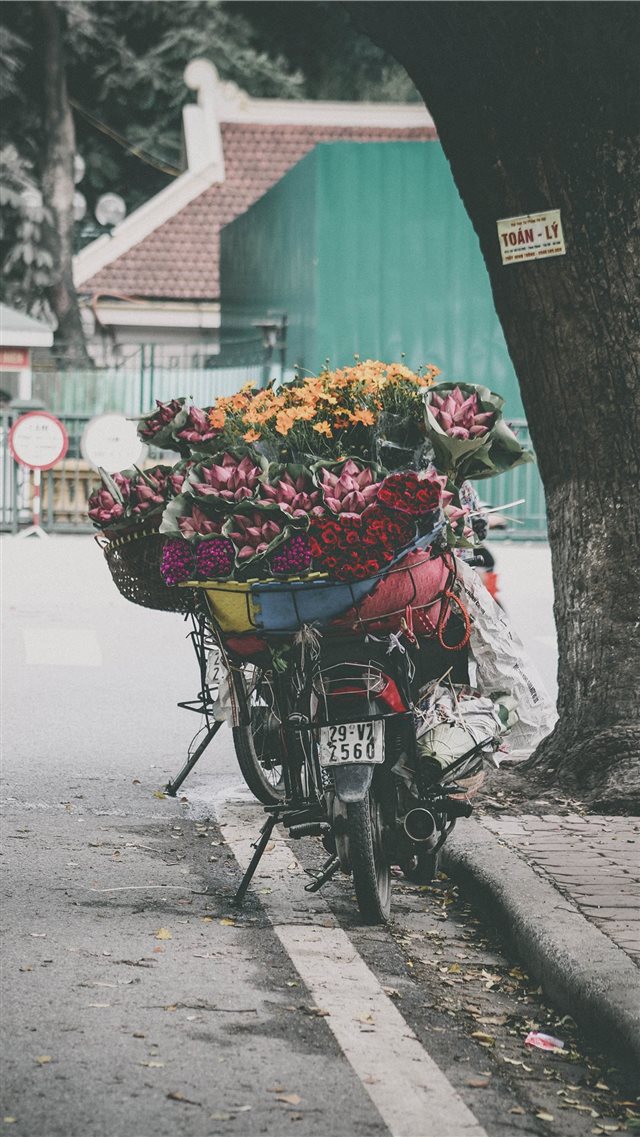 Flower delivery bicycle iPhone 8 wallpaper 