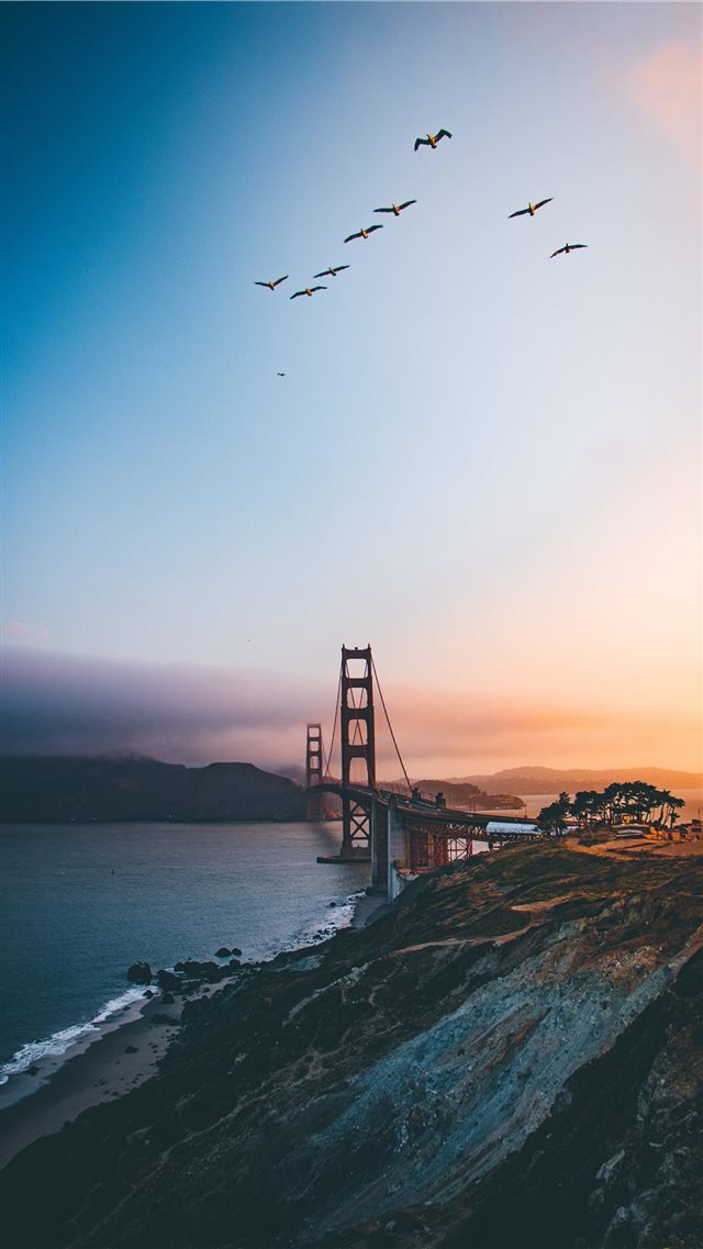 Golden Gate Bridge  United States iPhone 8 wallpaper 