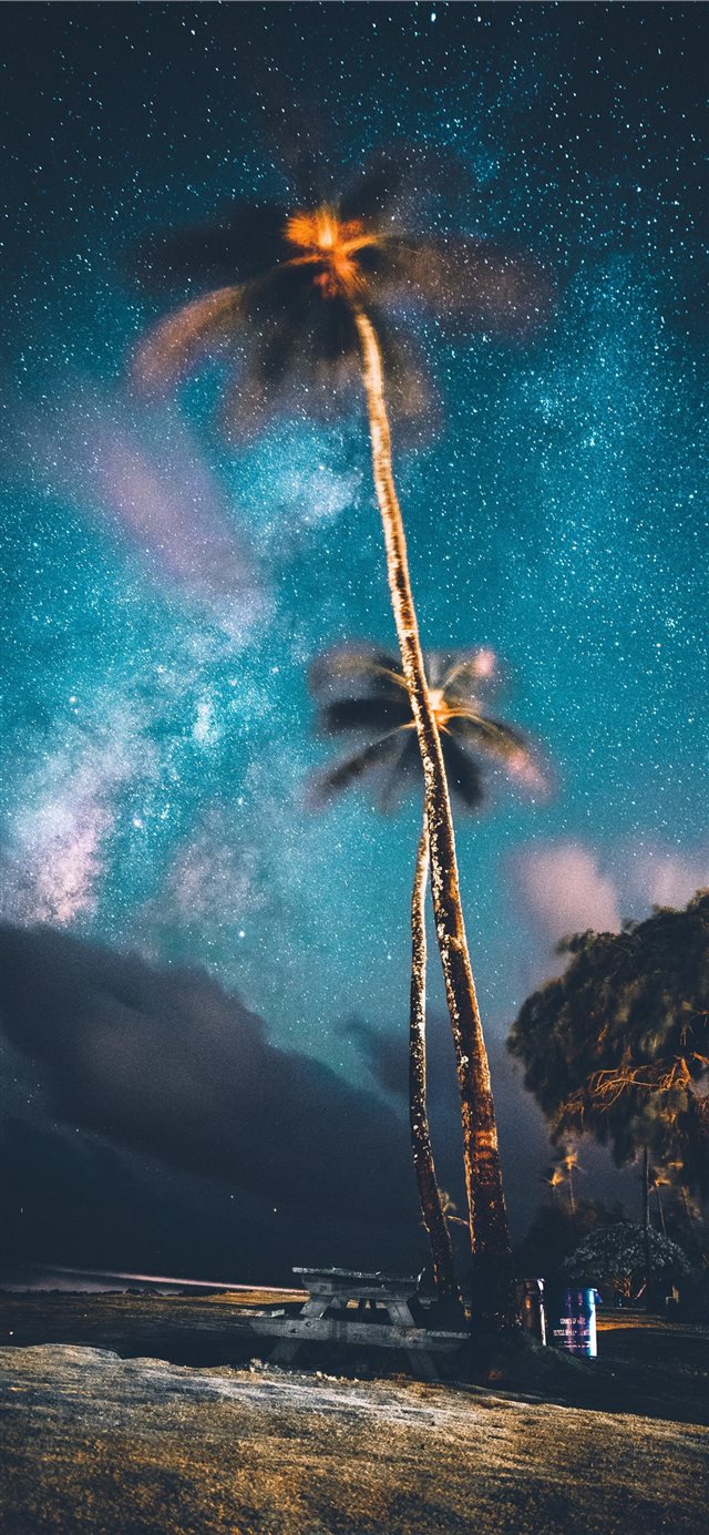 Lost thoughts iPhone X wallpaper 