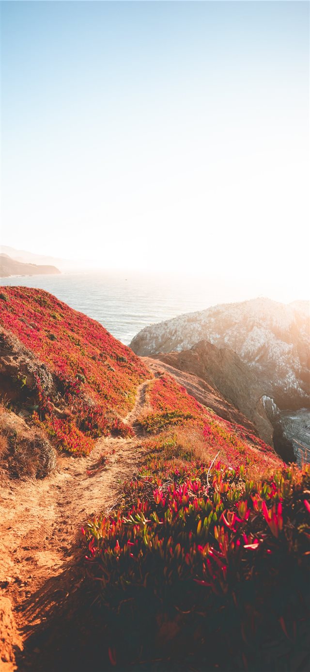 Path to the Point iPhone X wallpaper 
