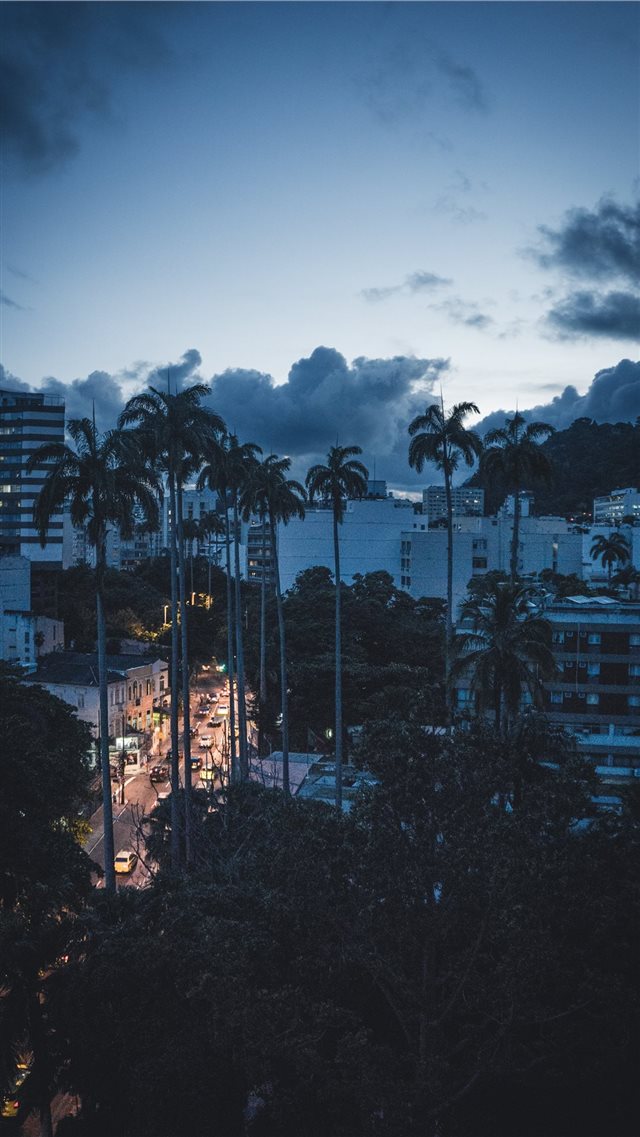 Sunset in Rio iPhone 8 wallpaper 