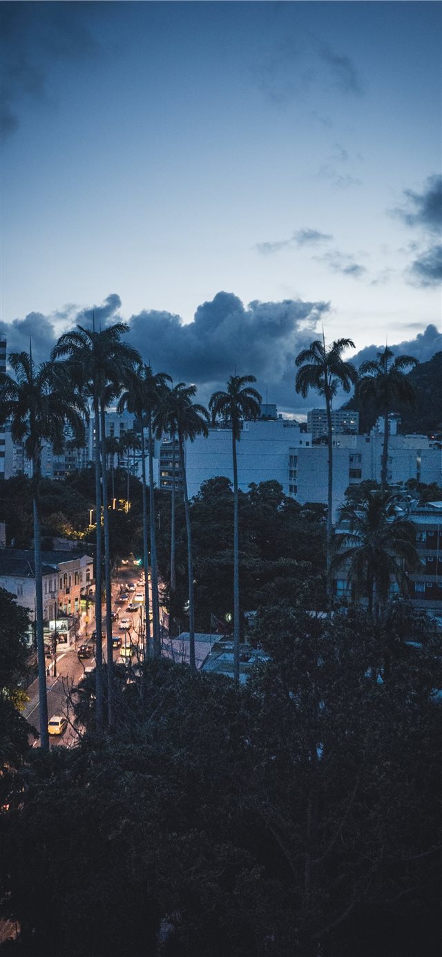 Sunset in Rio iPhone X wallpaper 