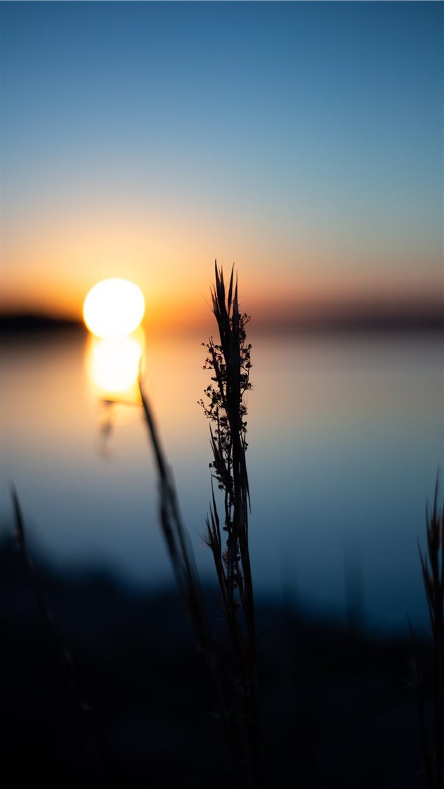 Sunset on the lake iPhone 8 wallpaper 