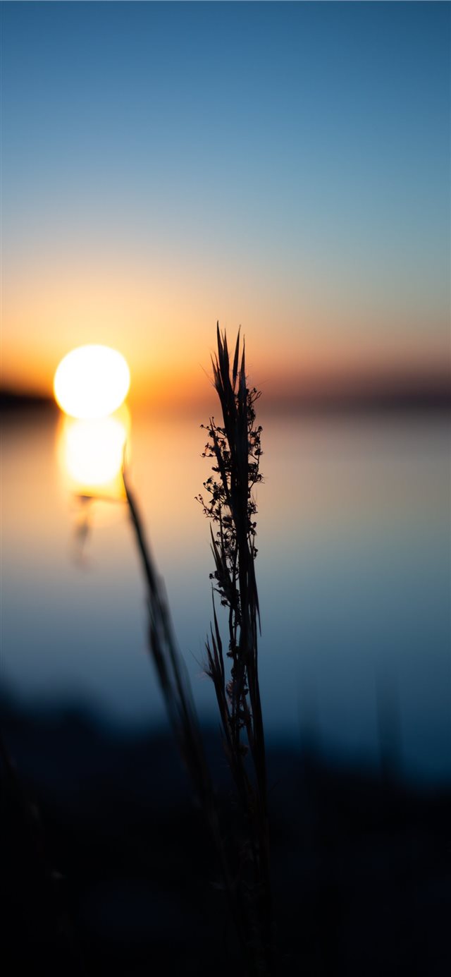Sunset on the lake iPhone X wallpaper 