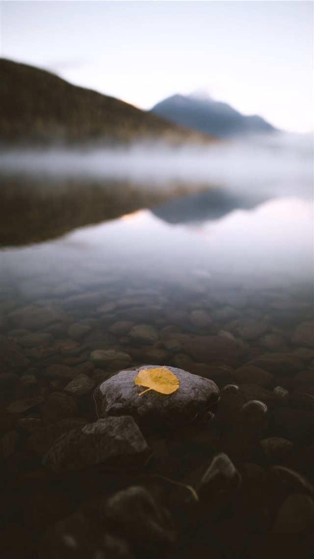 Fall in the Rockies iPhone 8 wallpaper 