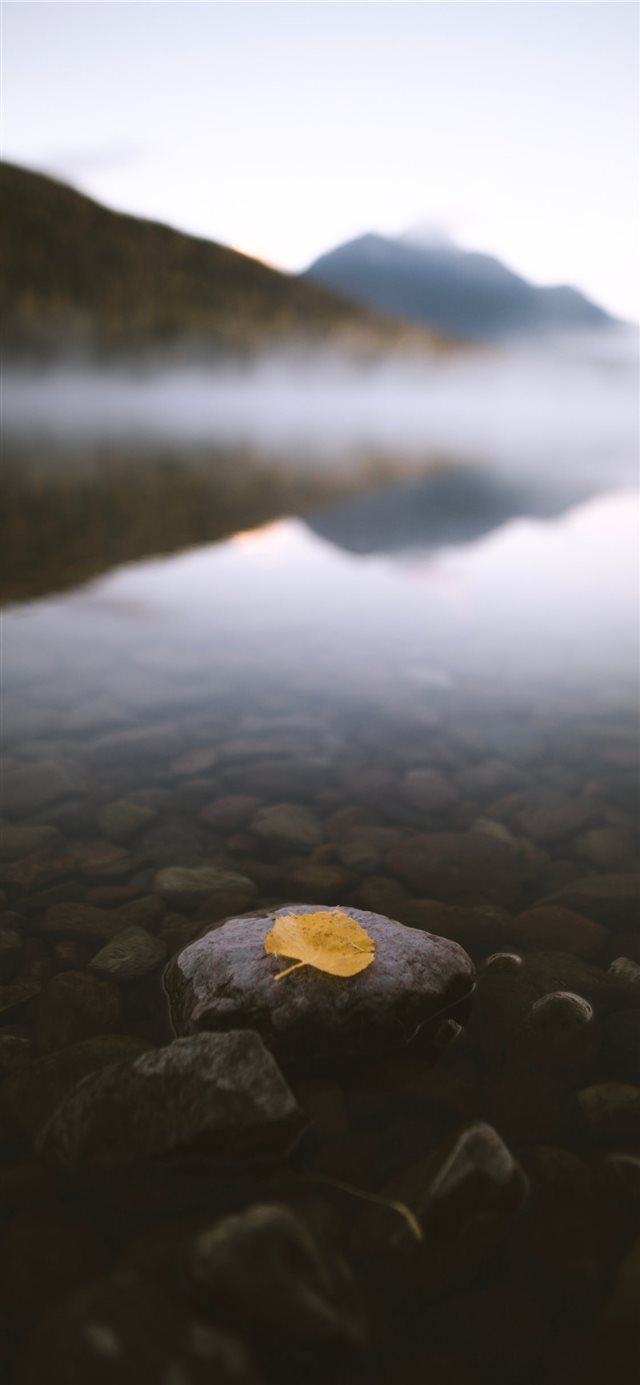 Fall in the Rockies iPhone X wallpaper 
