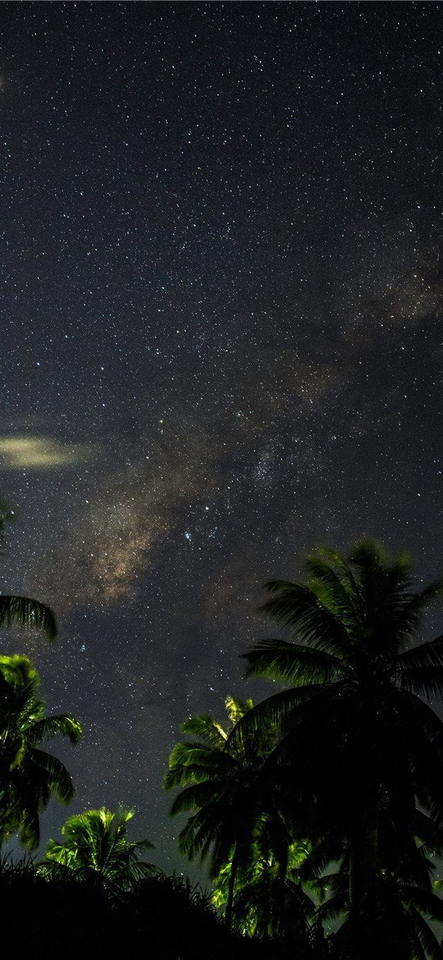 Loneliness isn’t loneliness when you can see star... iPhone X wallpaper 