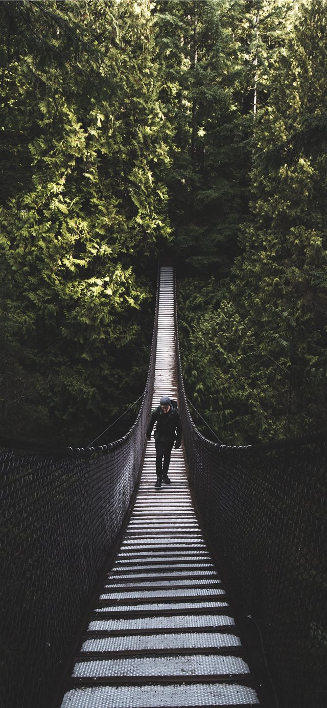 Lynn Canyon Suspension Bridge  North Vancouver  Ca... iPhone X wallpaper 