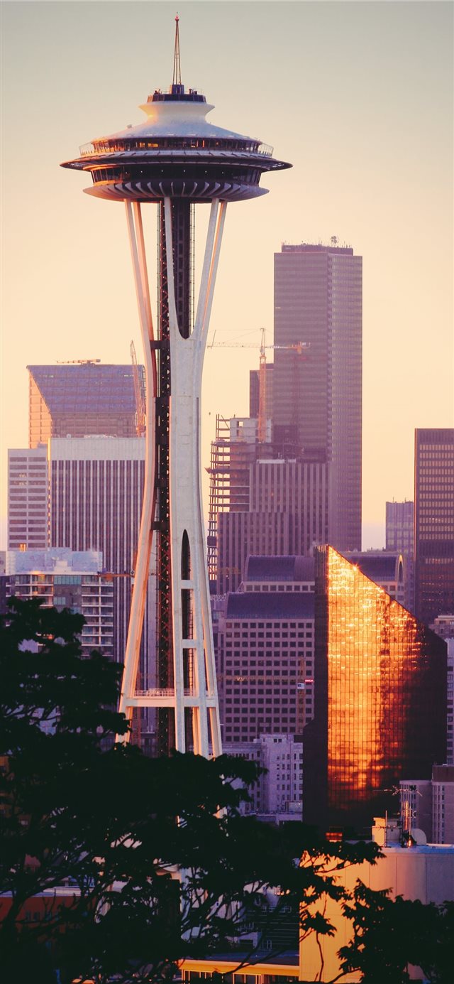 SpaceNeedle in the Morning iPhone X wallpaper 