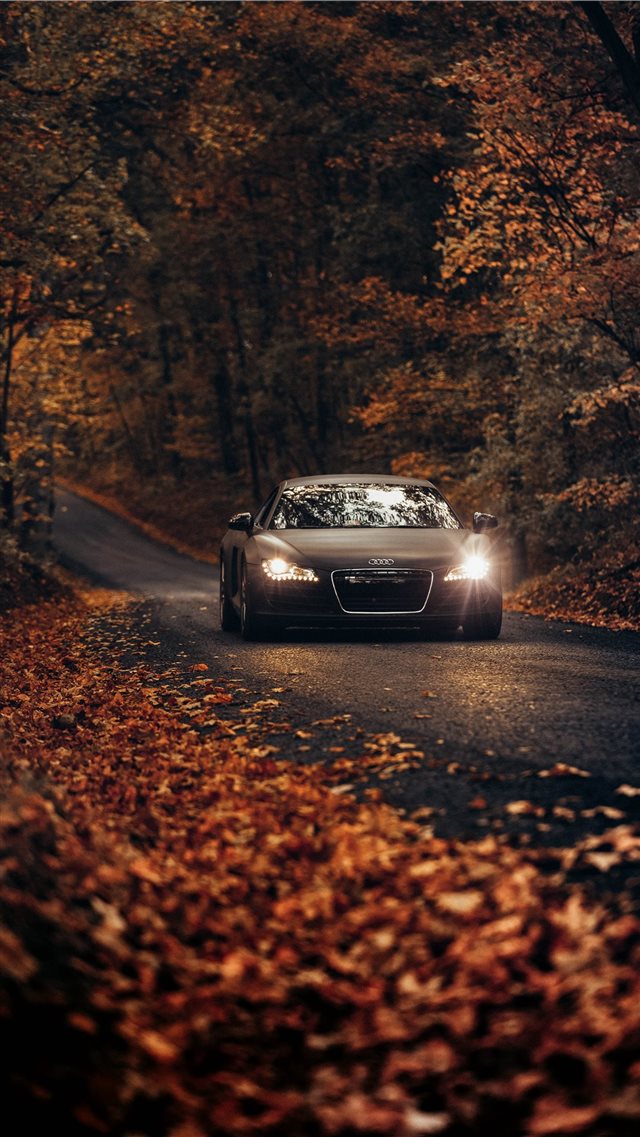 Fall Drives on Country Roads iPhone SE wallpaper 