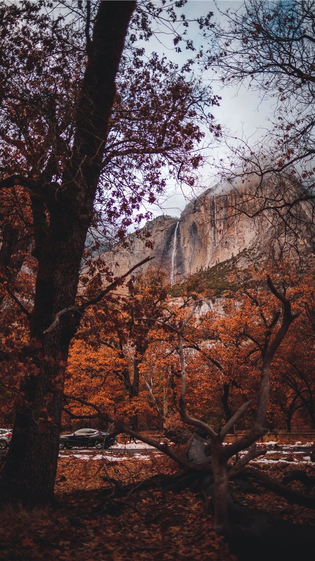 First time in Yosemite iPhone 8 wallpaper 
