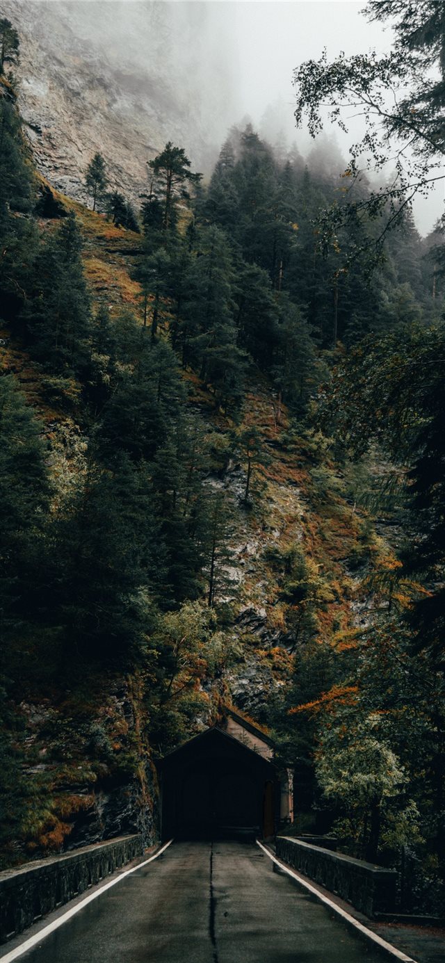 Dark tunnel entrance in front of autumn forest iPhone X wallpaper 