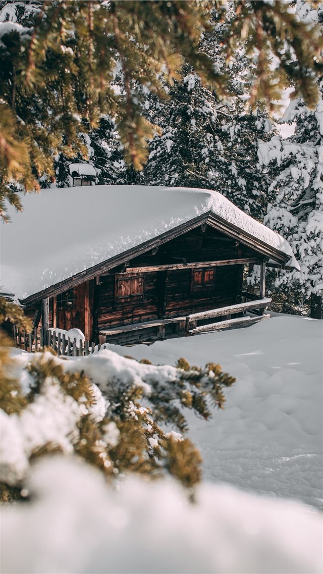 Forest cabin in the snow of austria iPhone 8 wallpaper 