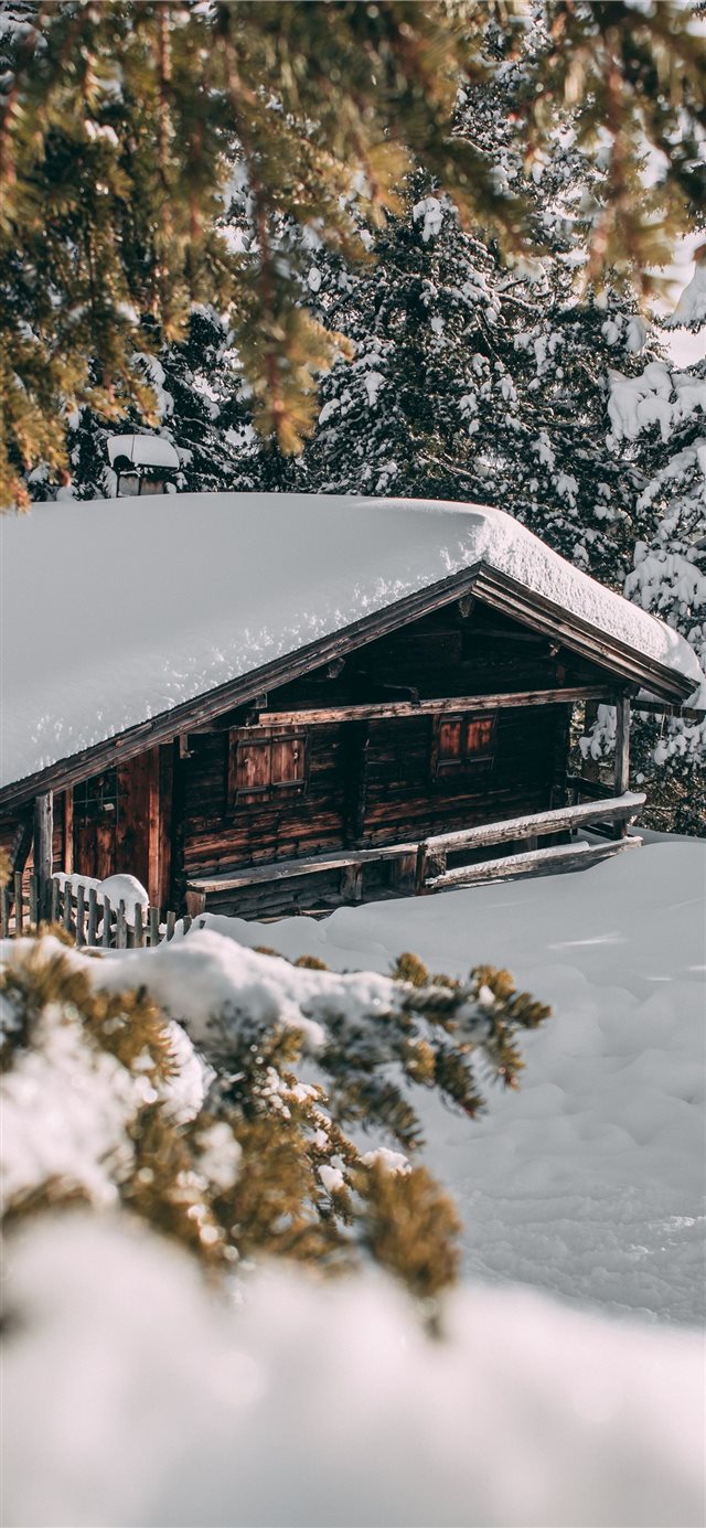 Forest cabin in the snow of austria iPhone X wallpaper 