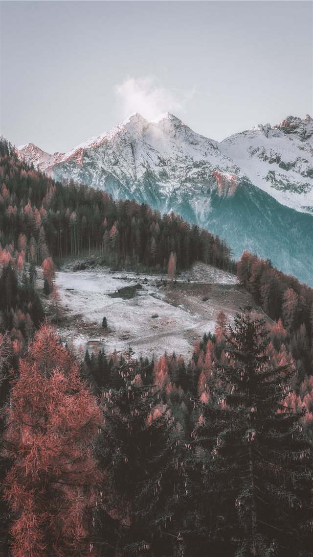 icy mountain and green trees scenry iPhone 8 wallpaper 
