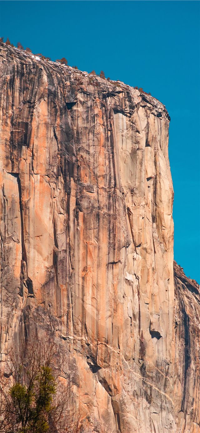 Capturing El Cap iPhone X wallpaper 