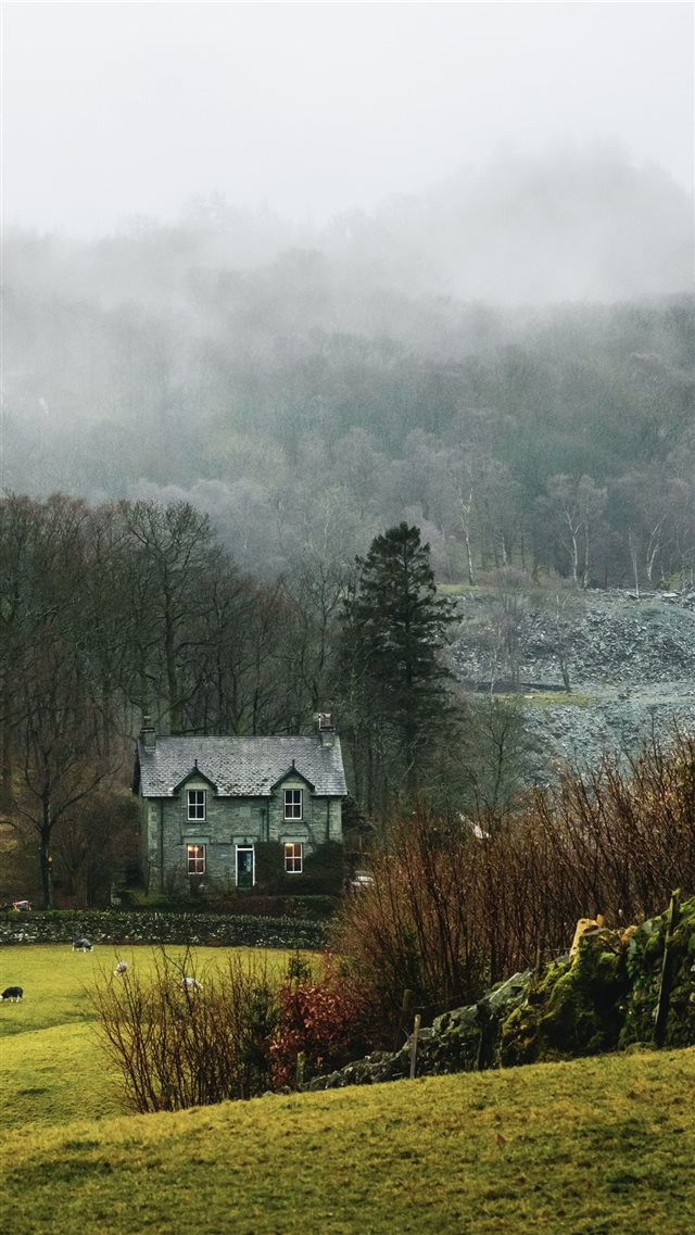 house at forest surrounded with fog iPhone 8 wallpaper 