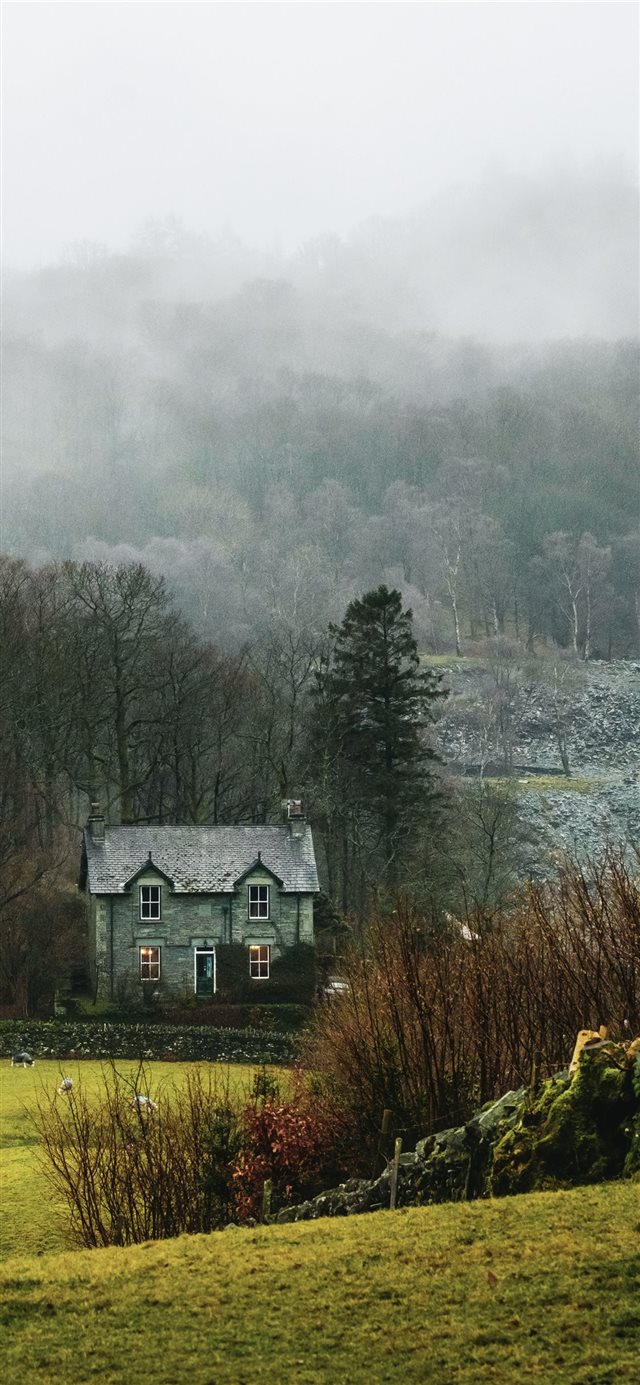 house at forest surrounded with fog iPhone X wallpaper 